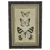 Creative Co-Op Vintage Insect Print with Distressed Wood Frame, Set of 4 - The Barrington Garage