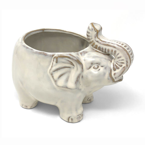 Accent Decor Elephant 7 x 4-inch Ceramic Pot, Ivory