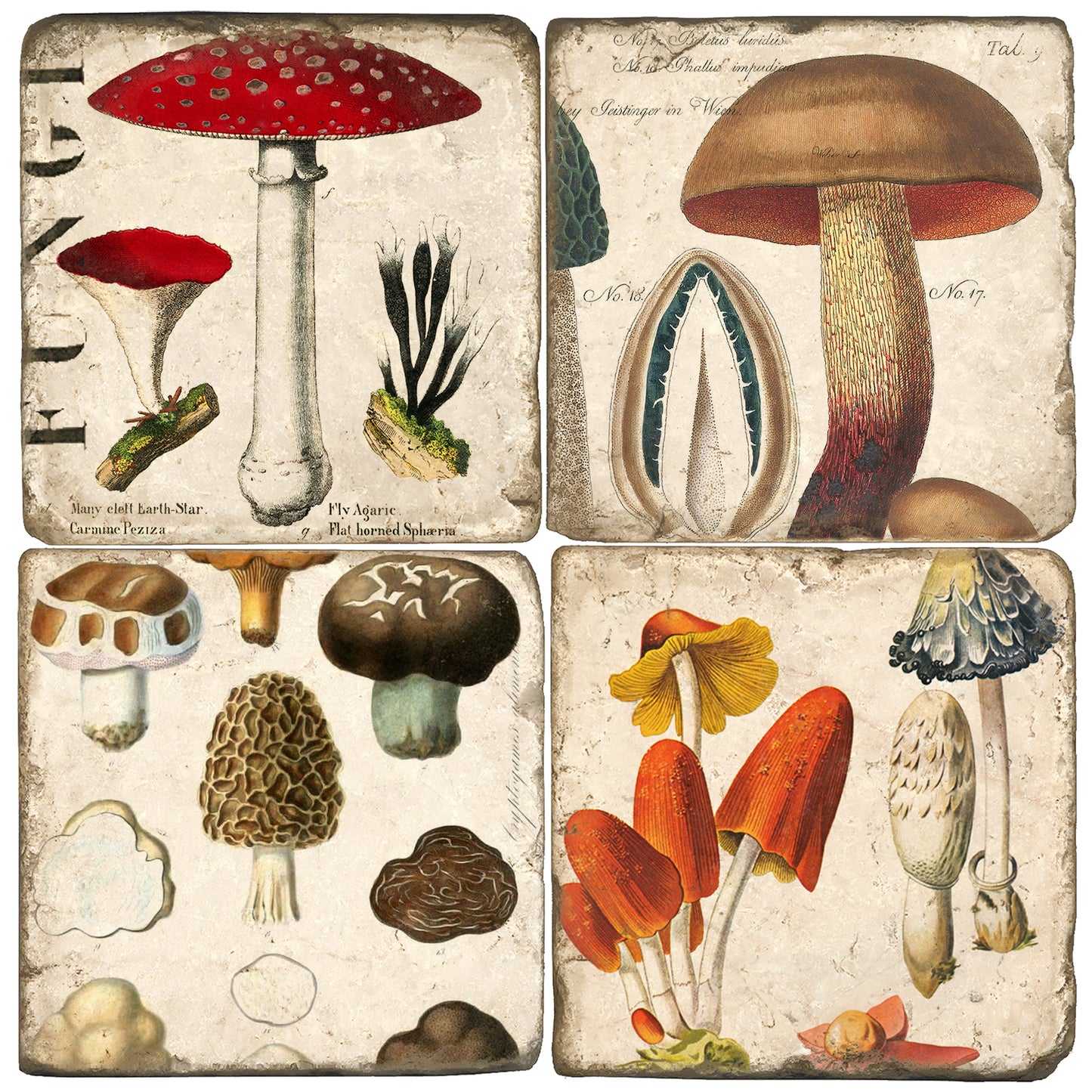 Mushrooms Tumbled Marble Coasters, Set of 4