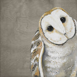 Sweet Barn Owl by Karin Grow Canvas Wall Art, 14 x 14