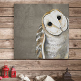 Sweet Barn Owl by Karin Grow Canvas Wall Art, 14 x 14