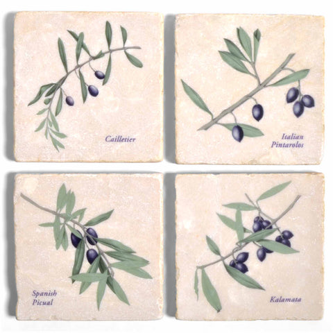 Olives Botanical Print Tumbled Marble Coasters, Set of 4