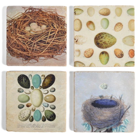 Studio Vertu Eggs and Bird Nests Tumbled Marble Coasters, Set of 4